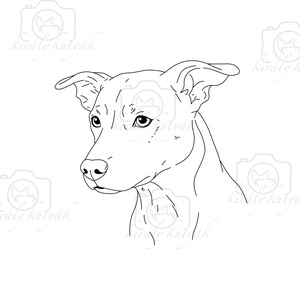 Digitális Oktatási Line Art Illusztráció Csomag - művészet - grafika & illusztráció - digitális - Meska.hu