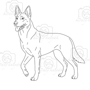 Digitális Oktatási Line Art Illusztráció Csomag - művészet - grafika & illusztráció - digitális - Meska.hu