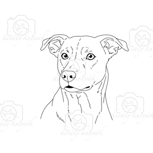 Digitális Oktatási Line Art Illusztráció Csomag - művészet - grafika & illusztráció - digitális - Meska.hu