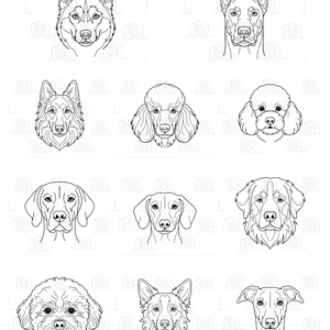 Line Art Kutyafajta � Fejportré (Digitális PNG), Művészet, Grafika & Illusztráció, Digitális, , MESKA