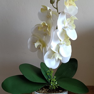 Fehér orchidea, Otthon & Lakás, Dekoráció, Virágdísz és tartó, Csokor & Virágdísz, Mindenmás, MESKA