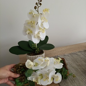 Orchidea 2 darab, Otthon & Lakás, Dekoráció, Virágdísz és tartó, Cserép & Kaspó, Mindenmás, MESKA