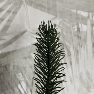 Kis fenyőág - kellékek & szerszámok - dekorációs kellékek - dekorfenyő - Meska.hu