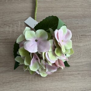 Zöld-rózsaszín hortenzia, Otthon & Életmód, Dekoráció, Virágdísz és tartó, Szálas virág, Virágok, , MESKA