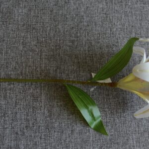 Fehér liliom - otthon & életmód - dekoráció - virágdekoráció - virágok - szálas virág - Meska.hu