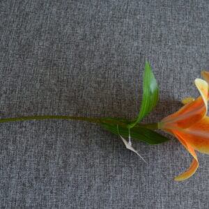 Narancssárga liliom - otthon & életmód - dekoráció - virágdekoráció - virágok - szálas virág - Meska.hu