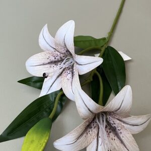 Hosszú szárú liliom cirmos, Otthon & Életmód, Dekoráció, Virágdekoráció, Szálas virág, Virágok, , MESKA