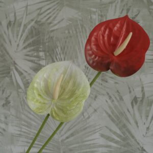 Flamingóvirág, Otthon & Életmód, Dekoráció, Virágdísz és tartó, Szálas virág, Virágok, , MESKA