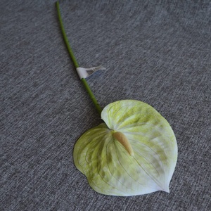 Flamingóvirág - otthon & életmód - dekoráció - virágdekoráció - virágok - szálas virág - Meska.hu