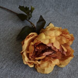 Nagy bazsarózsa - otthon & életmód - dekoráció - virágdekoráció - virágok - szálas virág - Meska.hu