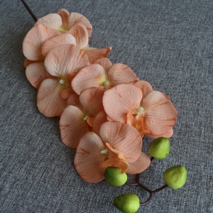 Barack színű orchidea - otthon & életmód - dekoráció - virágdekoráció - virágok - szálas virág - Meska.hu