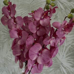 Ciklámen orchidea, Otthon & Életmód, Dekoráció, Virágdísz és tartó, Szálas virág, Virágok, , MESKA