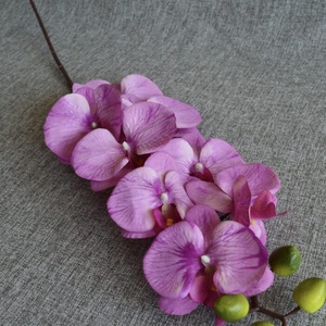 Ciklámen orchidea - otthon & életmód - dekoráció - virágdekoráció - virágok - szálas virág - Meska.hu