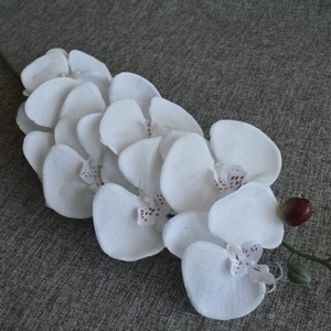 Fehér orchidea piros pöttyel, Otthon & Életmód, Dekoráció, Virágdísz és tartó, Szálas virág, Virágok, , MESKA