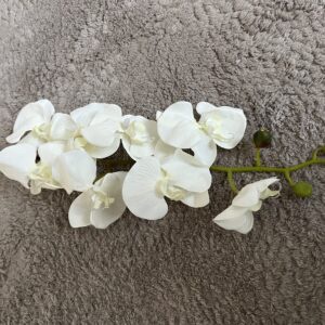 Krémfehér orchidea, Otthon & Életmód, Dekoráció, Virágdísz és tartó, Szálas virág, Virágok, , MESKA