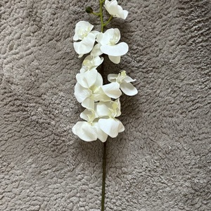 Krémfehér orchidea - otthon & életmód - dekoráció - virágdekoráció - virágok - szálas virág - Meska.hu
