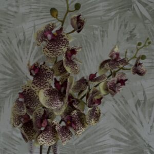 Lila pöttyös sárga orchidea, Otthon & Életmód, Dekoráció, Virágdísz és tartó, Szálas virág, Virágok, , MESKA