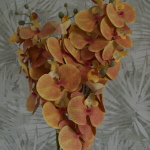 Narancs színű orchidea, Otthon & Életmód, Dekoráció, Virágdísz és tartó, Szálas virág, Virágok, , MESKA