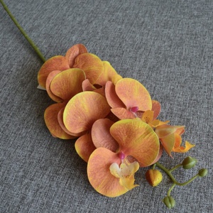 Narancs színű orchidea - otthon & életmód - dekoráció - virágdekoráció - virágok - szálas virág - Meska.hu