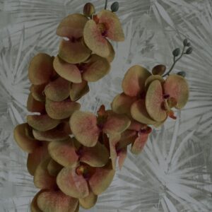 Narancs- zöld orchidea, Otthon & Életmód, Dekoráció, Virágdísz és tartó, Szálas virág, Virágok, , MESKA