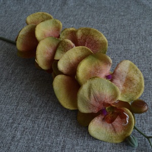 Narancs- zöld orchidea - otthon & életmód - dekoráció - virágdekoráció - virágok - szálas virág - Meska.hu