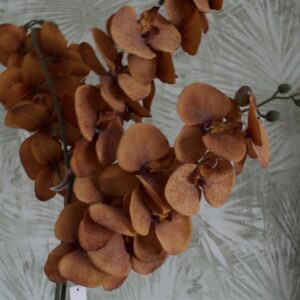 Sötétnarancs orchidea, Otthon & Életmód, Dekoráció, Virágdekoráció, Szálas virág, Virágok, , MESKA