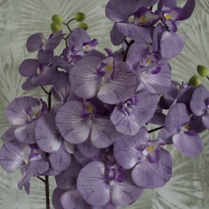 Világos lila orchidea, Otthon & Életmód, Dekoráció, Virágdísz és tartó, Szálas virág, Virágok, , MESKA