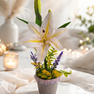 Örök hála � Exkluzív liliomos dekoráció díszes peremű kaspóban, Otthon & Életmód, Virágdekoráció, Virágdíszek, Virágdísz kaspóban, Virágkötés, MESKA