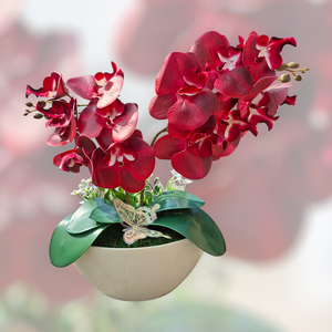 Piros orchidea kaspóban - Meska.hu