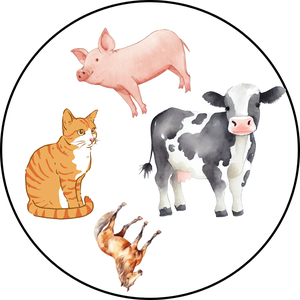 Fejlesztő kártyajáték: a farm állatai (13 lapos) - játék & sport - táblajáték és kártyajáték - kártya - Meska.hu