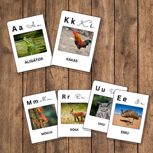 ABC betúkártyák a világ állataival - játék & sport - készségfejlesztő és logikai játék - logikai játékok - Meska.hu