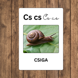 ABC betúkártyák a világ állataival - játék & sport - készségfejlesztő és logikai játék - logikai játékok - Meska.hu