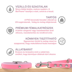 Névre szóló kutya nyakörv és póráz szett, színes vízálló BioThane hevederből, rozsdamentes acél vagy réz kapocs - otthon & életmód - kisállatoknak - kutyáknak - kutya nyakörv, póráz szett - Meska.hu