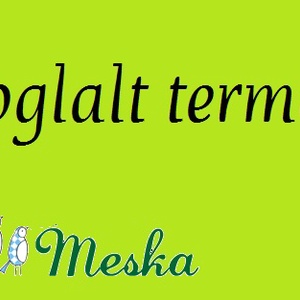 Pénzgyűjtő csattos üveg ballagásra - Meska.hu