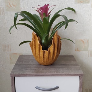DonDecor
