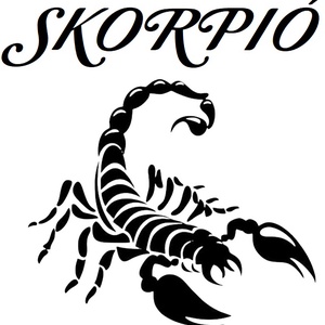 SKORPIÓ Gravírozott horoszkópos pohár, 290 ml whiskys/vizes - otthon & életmód - konyhafelszerelés, tálalás - tálalás - pohár - Meska.hu