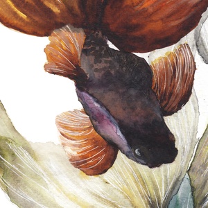 Sziámi harcos halak - akvarell festmény (nyomat) - otthon & lakás - dekoráció - kép & falikép - kép & falikép - Meska.hu