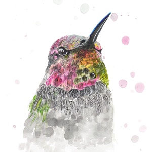 Pöttyös kolibri - akvarell festmény (nyomat) - otthon & életmód - dekoráció - kép & falikép - kép & falikép - Meska.hu