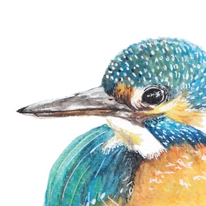 Jégmadár - akvarell festmény (nyomat) -  - Meska.hu