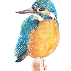 Jégmadár - akvarell festmény (nyomat) -  - Meska.hu