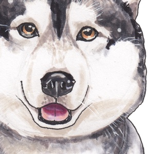 Husky - ecsetfilc festmény (nyomat) - művészet - festmény - akvarell - Meska.hu