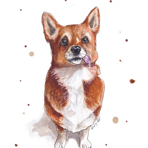 Corgi portré - ecsetfilc festmény (nyomat) - művészet - festmény - akvarell - Meska.hu