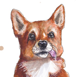 Corgi portré - ecsetfilc festmény (nyomat) - művészet - festmény - akvarell - Meska.hu