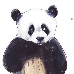 Panda - ecsetfilc festmény (nyomat) - művészet - festmény - akvarell - Meska.hu