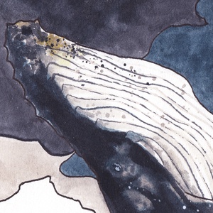 Hosszúszárnyú bálna - ecsetfilc festmény (nyomat) - művészet - festmény - akvarell - Meska.hu