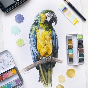 Ara papagáj  - akvarell festmény (nyomat), Otthon & Lakás, Dekoráció, Kép & Falikép, Művészi nyomat, Festészet, MESKA