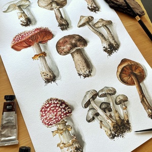 Gomba Válogatás  - Limitált kiadású nyomat - művészet - grafika & illusztráció - művészi nyomat - Meska.hu