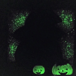 Halloween-i boszorkányos kirakó - játék & sport - puzzle - kirakó, kocka kirakó - Meska.hu