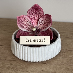 Szeretettel Orchidea, Otthon & Életmód, Virágdekoráció, Virágdíszek, Asztali virágdísz, , MESKA