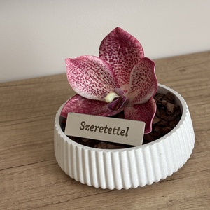 Szeretettel Orchidea - otthon & életmód - virágdekoráció - virágdíszek - asztali virágdísz - Meska.hu